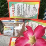 SÌN SÚ Ê ĐÊ BỘT