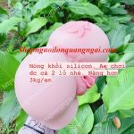 MÔNG SILICON NGUYÊN KHỐI