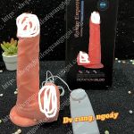 DV GẮN TƯỜNG GIÁ RẺ